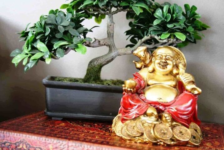 Glück und Wohlstand zu Hause nach Feng Shui