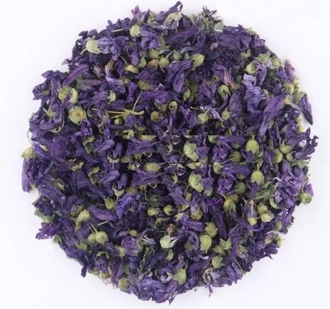 getrocknete violette Blüten